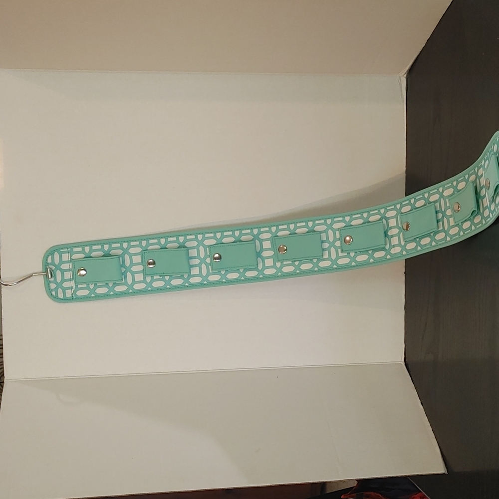 Pottery Barn Dorm Handbag & Accessories Hanger